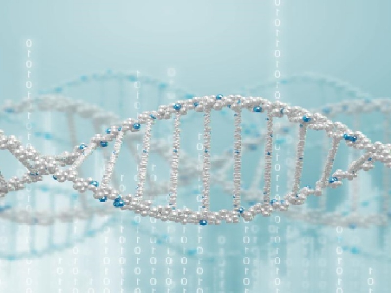 试管博主真假试管怎样预防早产试管移植后能吃大虾